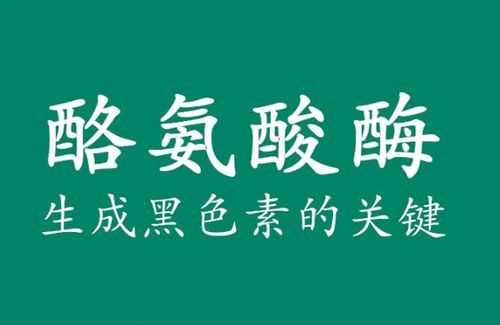 吃哪种维生素多了会得白癜风（多吃维生素什么会变白）-图2