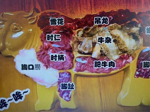 白癜风可不可以吃鸡肉牛肉（牛肉羊肉鸡肉可不可以一起吃）-图1