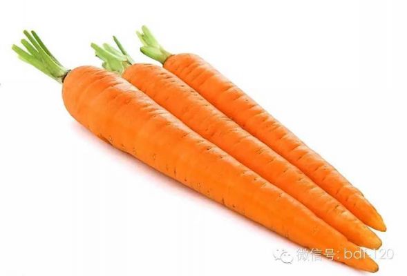 关于患白癜风可以吃胡萝卜吗的信息