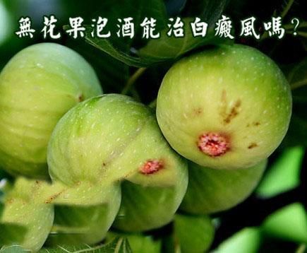 白癜风是否可以吃鲜无花果（白斑患者能吃无花果吗）