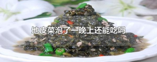 吃地皮菜治白癜风吗（吃地菜皮有什么好处）-图3