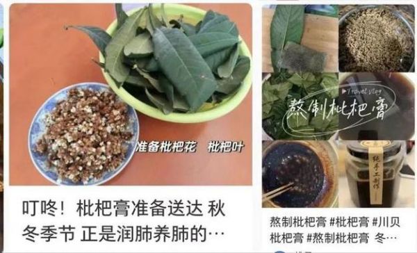 白癜风可以吃枇杷花泡水吗（白斑能吃枇杷吗）-图2