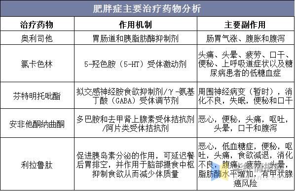 代谢肥胖吃什么药（身体胖代谢差吃什么调理）-图3