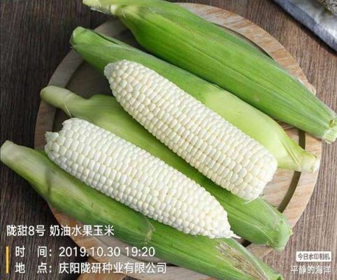 包含白癜风可以吃白色的玉米吗的词条-图3