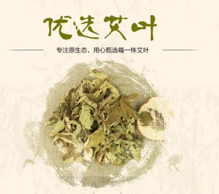 陈艾是什么药（陈艾有些什么作用）-图2