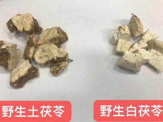 白癜风患者吃茯苓有影响吗（白茯苓能祛斑吗）-图3