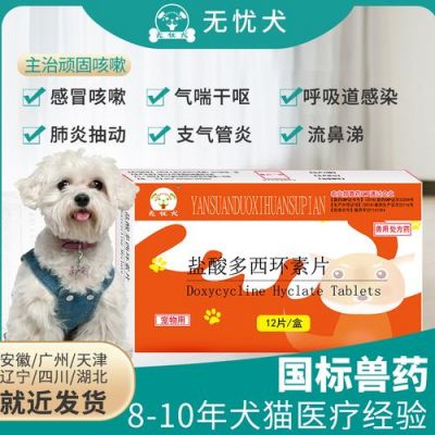 狗狗肺炎用什么药（狗狗得了肺炎用什么药效果好）-图1