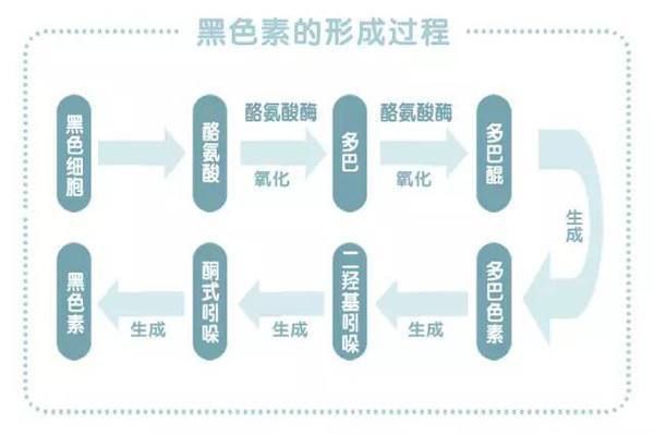 白癜风吃哪些微量元素的简单介绍-图2