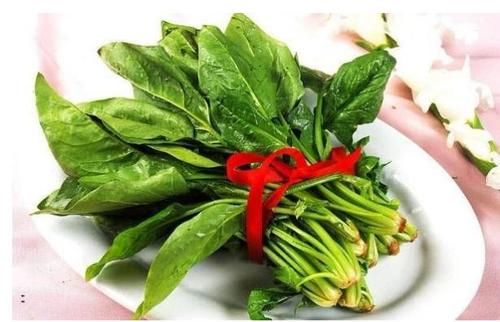 关于白癜风吃菠菜行吗的信息-图3