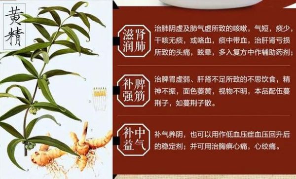 包含白癜风患者可以吃黄精么的词条