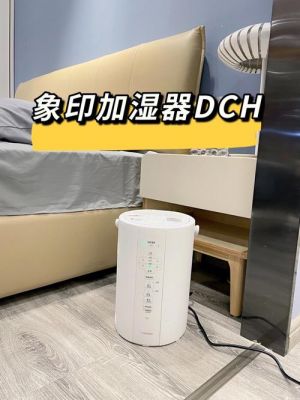 加湿器能加什么药（加湿器加什么药润肺）-图2