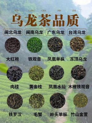 乌龙茶与什么药（乌龙茶和什么茶最配）