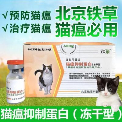 包含猫病毒吃什么药的词条