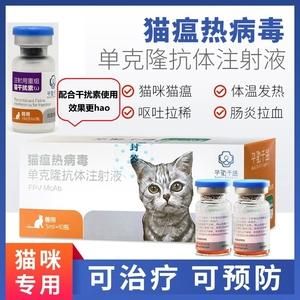 包含猫病毒吃什么药的词条-图2