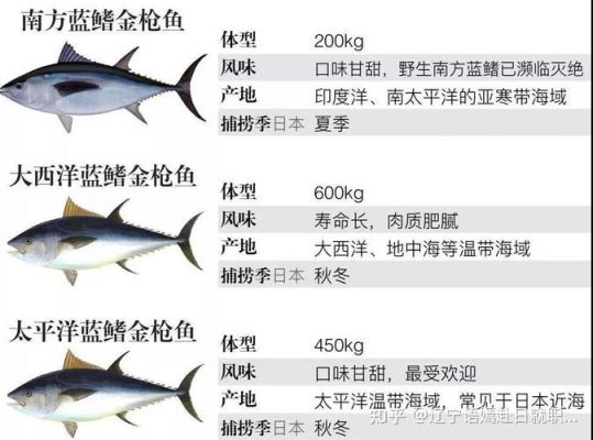 包含白癜风病人可以吃金枪鱼吗的词条-图2