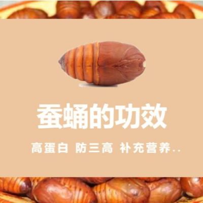 蚕蛹和白癜风可以一起吃吗（蚕蛹 相克）-图2