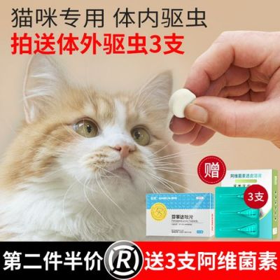 什么药不能喂猫（哪些药猫不能吃）