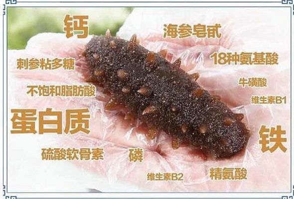 白癜风可以每天吃海参吗的简单介绍