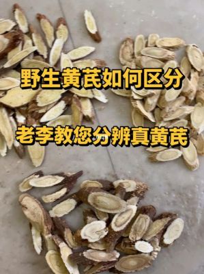 白癜风吃黄芪有什么好处（黄芪治疗白斑）