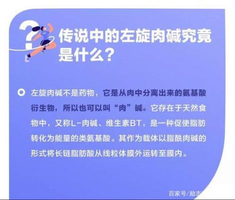 关于白癜风可以吃左旋肉碱吗的信息