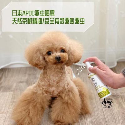 狗被蚊子咬了用什么药（狗被蚊子咬了用什么药膏好）-图3