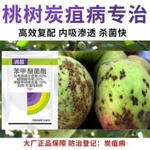 炭疽用什么药治疗（炭疽的治疗方式有哪些）-图1