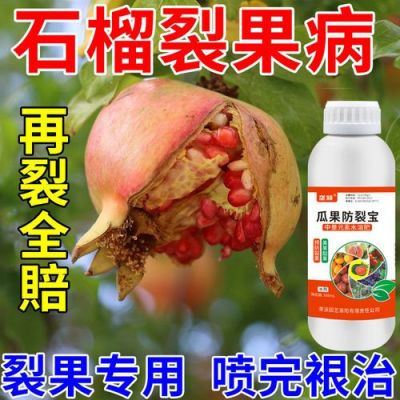 石榴裂开用什么药（石榴裂果要用什么药）-图3