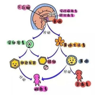 xqn是什么药的简单介绍-图3