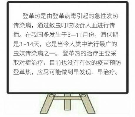 登革热是什么药（登革热的治疗药物和方法）-图2