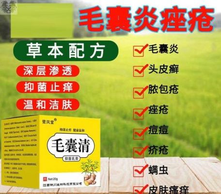 毛狼炎用什么药（毛狼炎症状）-图2