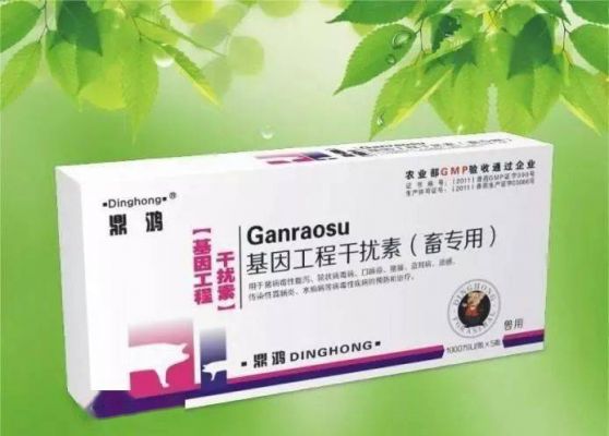 hpv18阳性吃什么药（hpv18阳性吃什么药效果好）-图2