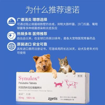 小猫吃的消炎药什么药（小猫吃的消炎药什么药效果好）