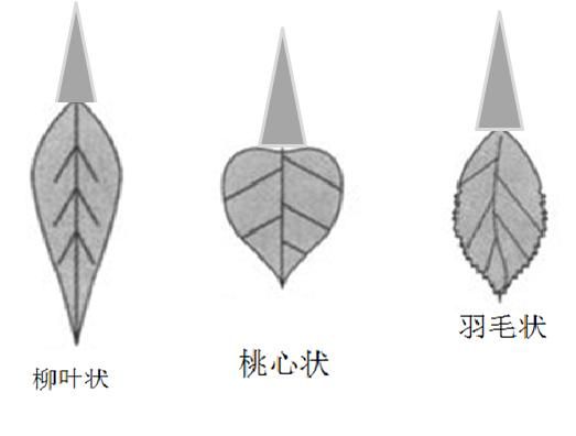 关于阴唇有点痛用什么药的信息-图2