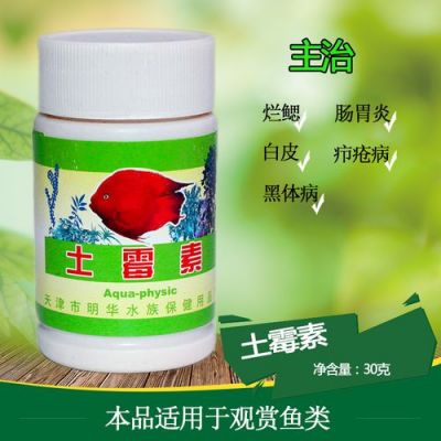 鱼烂皮肤用什么药治呢（鱼皮肤烂了用什么药）-图3