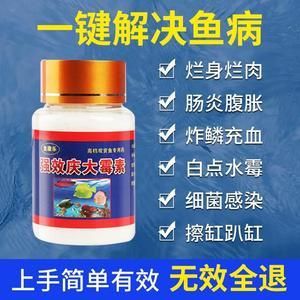 鱼烂皮肤用什么药治呢（鱼皮肤烂了用什么药）-图2