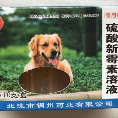 狗得犬瘟吃什么药（狗犬瘟吃什么药退烧快）-图3