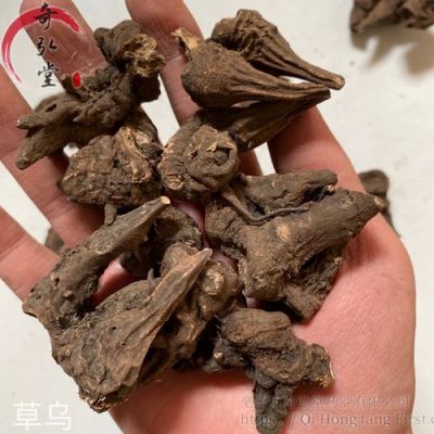 乌头炎用点什么药好（乌头感染）-图3