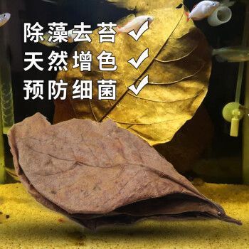 调节酸碱度吃什么药（调节酸碱度用什么酸）-图3