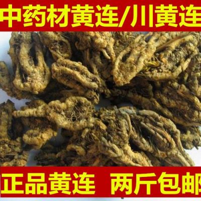 黄连黄白是什么药（黄连黄连）