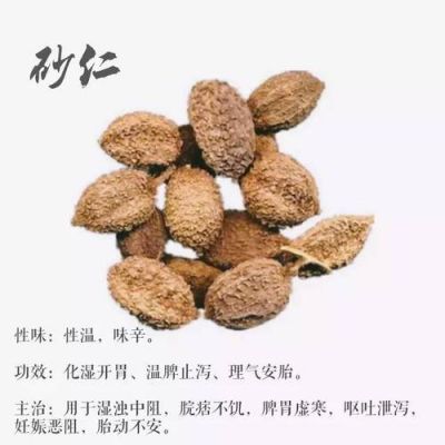 什么是辛散药（辛散的中药有哪些）-图2