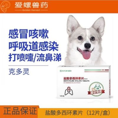 狗狗老是咳嗽吃什么药（狗狗一直咳嗽用什么药）-图3