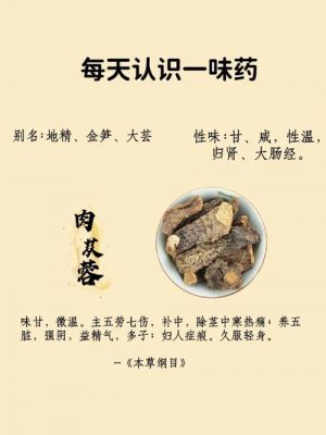 什么药中有肉苁蓉（有肉苁蓉的成药吗）-图3