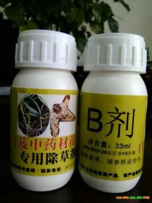 白芨有病用什么药（白芨发病用什么农药）-图2