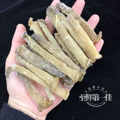 沙虫买什么药（沙虫买什么药见效）-图1