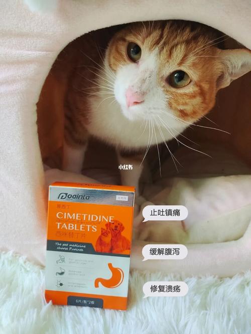 猫咪腹腔有水什么药（猫咪肚子里有腹水吃什么药才能好）-图1