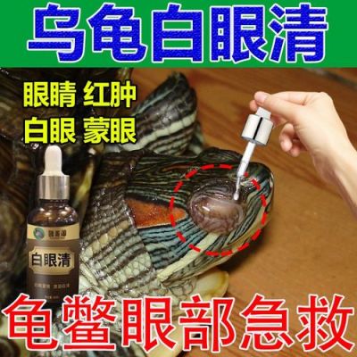 乌龟眼睛红肿用什么药（乌龟眼睛红肿用什么药膏好）-图2