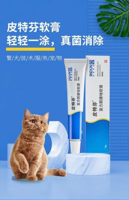 猫得真菌用什么药（猫真菌感染用什么药最好）-图3